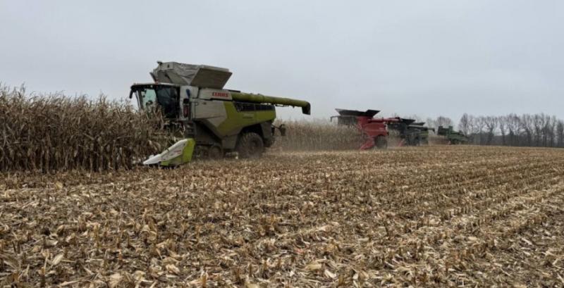 В Україні встановили рекорд із врожайності кукурудзи — 21,42 т/га