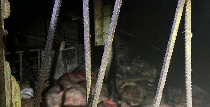 На Чернігівщині росіяни атакували дронами ферму — загинуло близько 1 000 свиней