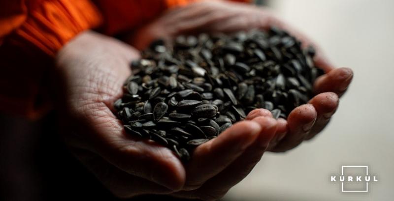 Ринок соняшнику в очікуванні: ціни ростуть попри зниження якості врожаю