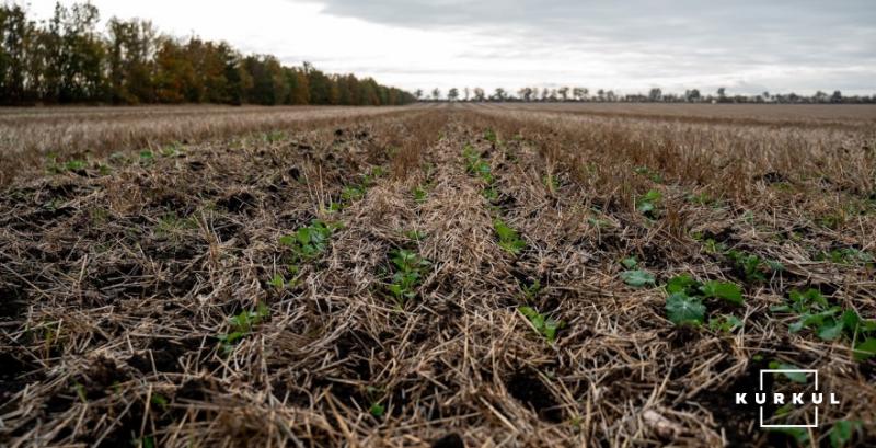Кліматичні зміни змушують адаптовуватися до ґрунтозберігаючих технологій — аграрій Кліматичні зміни змушують адаптовуватися до ґрунтозберігаючих технологій — аграрій
