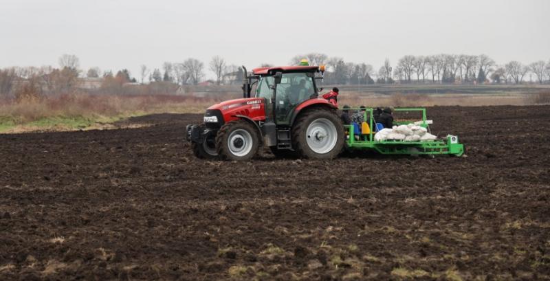 В Україні висадили першу комунальну плантацію міскантуса