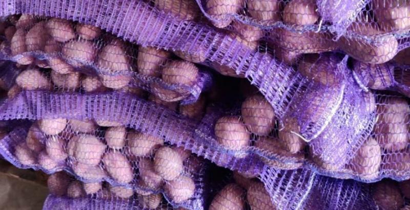 Україна змушена імпортувати картоплю через нестачу сховищ — профільна асоціація