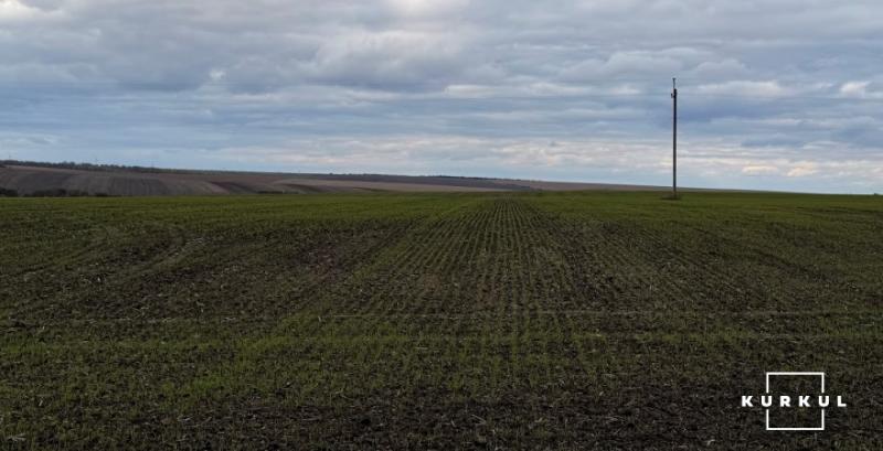 Потенційні теплові аномалії взимку можуть активізувати ростові процеси в озимих культур — НААН