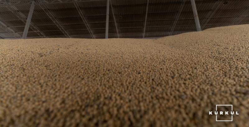 Соя дорожчає на фоні підвищеного попиту