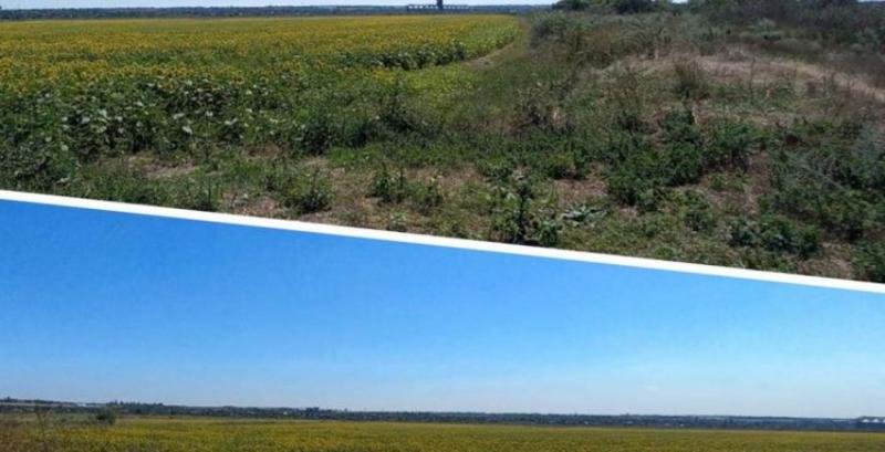 Фермер з Миколаївщини незаконно осушив ставки і вирощував соняшник та пшеницю Фермер з Миколаївщини незаконно осушив ставки і вирощував соняшник та пшеницю