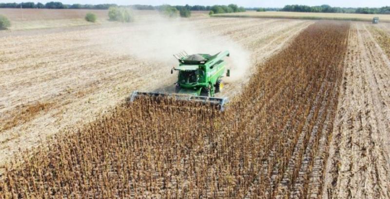 На Черкащині знизилась врожайність майже усіх с/г культур