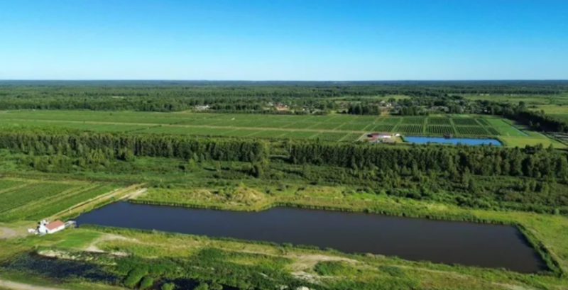 «Волинська ягідка» «Волинська ягідка»