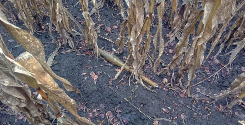 У листопаді середня вартість розмінування с/г земель становила 50 тисяч грн/га