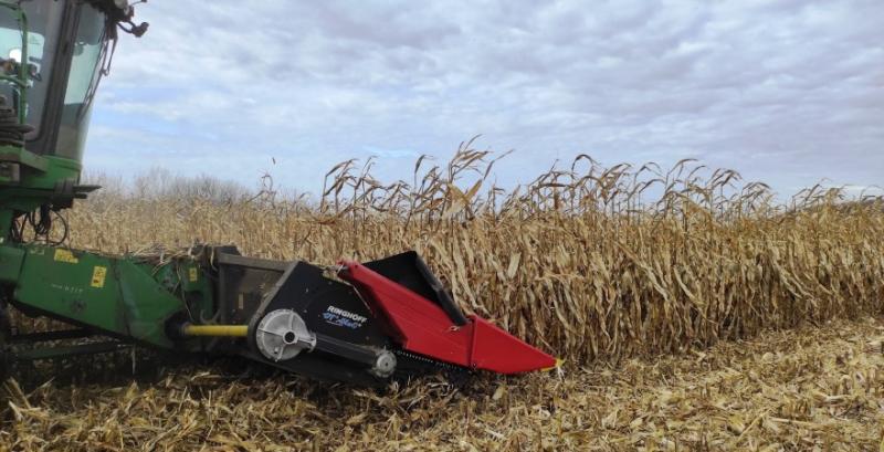 В полях залишається ще 17% врожаю кукурудзи