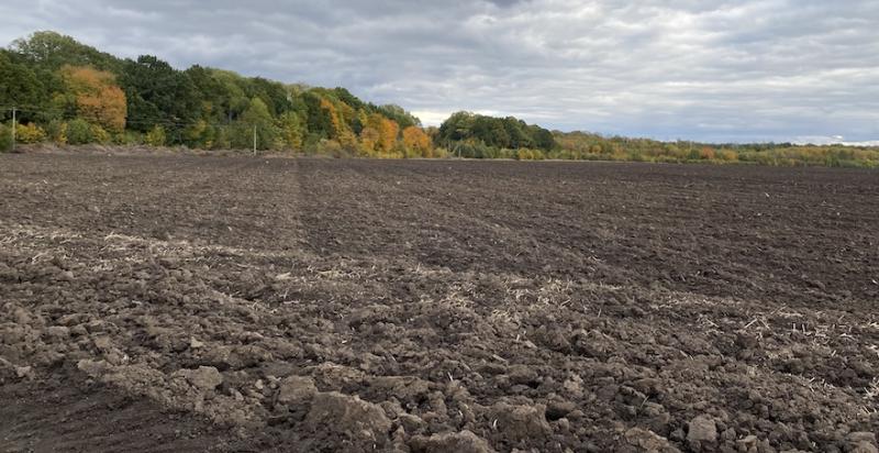 У зоні бойових дій на Харківщині опинилося майже 1 млн га чорноземів У зоні бойових дій на Харківщині опинилося майже 1 млн га чорноземів