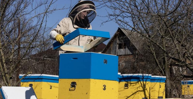 Українські фермери можуть отримати до 150 тисяч доларів на відновлення господарств Українські фермери можуть отримати до 150 тисяч доларів на відновлення господарств