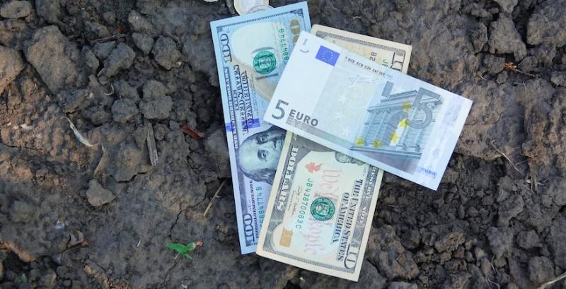 ФАО пропонує українським ягідникам та виноградарям гранти до $150 тисяч ФАО пропонує українським ягідникам та виноградарям гранти до $150 тисяч