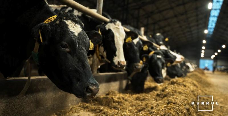 ТАС Агро Захід планує укрупнити тваринницьку ферму в Михайлівці