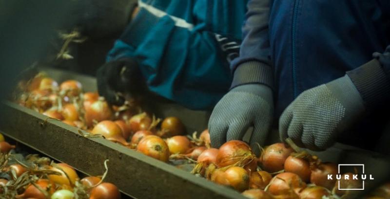 Запаси якісної цибулі в Україні стрімко скорочуються Запаси якісної цибулі в Україні стрімко скорочуються
