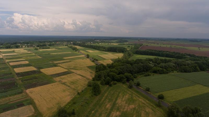 Фонд держмайна озвучив скільки державних земель передали в оренду у 2025 році