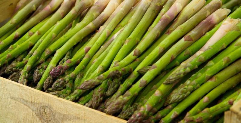 Ветеран з Полтавщини завдяки гранту займеться вирощуванням спаржі