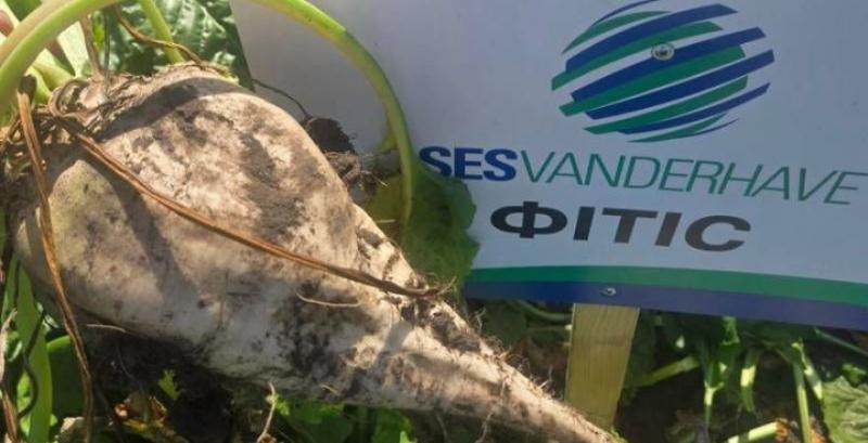 Вітчизняні виробники цукрових буряків отримають доступ до нових гібридів під брендом UBS