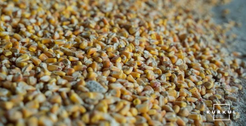 Ціни на кукурудзу укріпились через нестачу зерна в портах Ціни на кукурудзу укріпились через нестачу зерна в портах