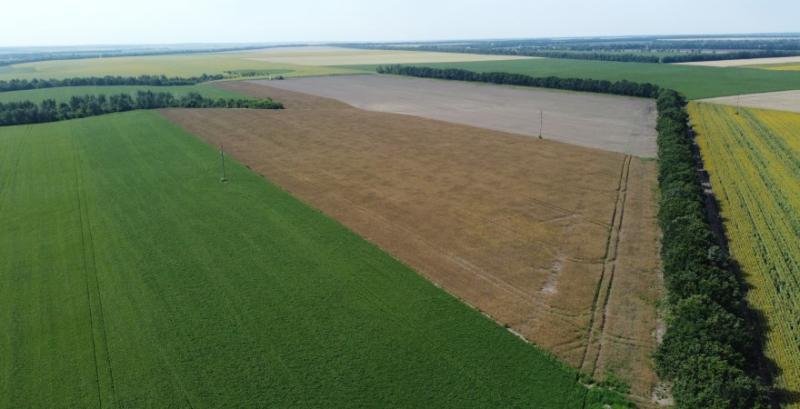 Держгеокадастр повідомив коефіцієнт індексації нормативної грошової оцінки земель за 2025 рік