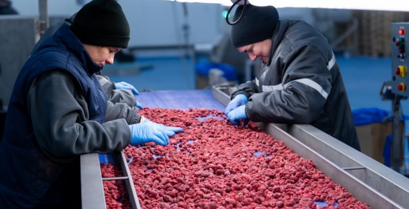 Підприємство зі Львівщини планує налагодити переробку овочів та вишні