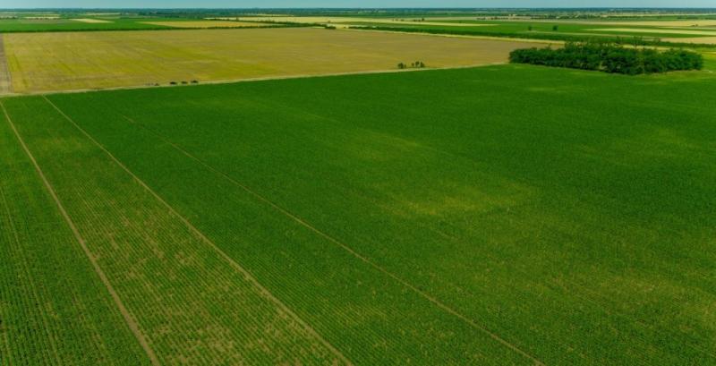 В Україні почали продавати право оренди на землю