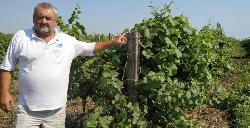 Винороб Валерій Петров з Одещини