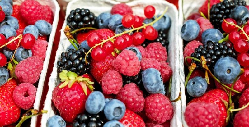 Українські виробники ягід та горіхів представлять продукцію на виставці Gulfood 2026