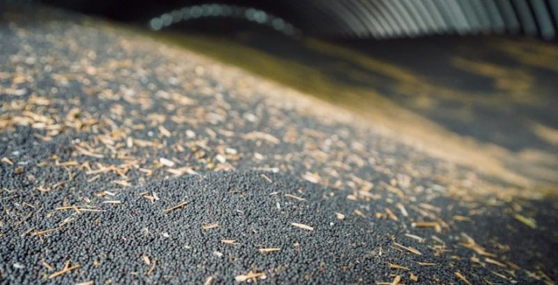 На внутрішньому ринку фіксують суттєве зростання цін на ріпак