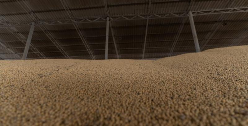 Ринок сої зберігає потенціал росту цін — аналітики Ринок сої зберігає потенціал росту цін — аналітики
