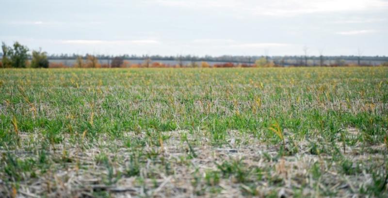 Земельний банк виставив на аукціон перші лоти у 2026 році Земельний банк виставив на аукціон перші лоти у 2026 році