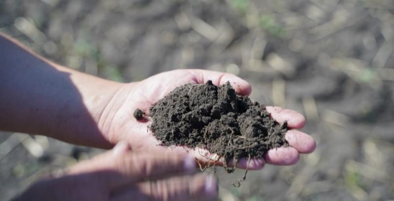 Черкащина лідирує за НГО сільгоспземель