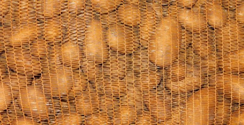 Гуртові ціни на картоплю почали рости Гуртові ціни на картоплю почали рости