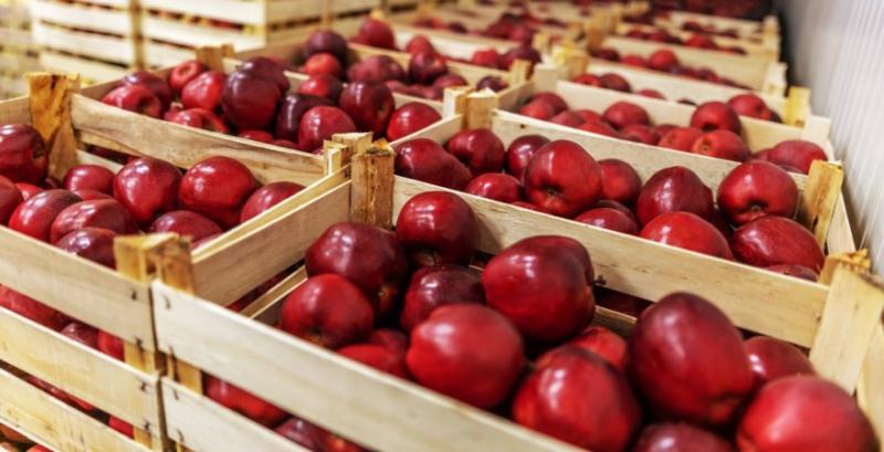 Ukravit презентував нове добриво для живлення садів кальцієм