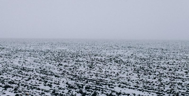 Різке зниження температури створює загрозу вимерзання озимих культур без снігового покриву