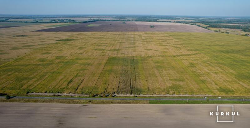 Майже третина усіх земельних ділянок України належать 10 компаніям