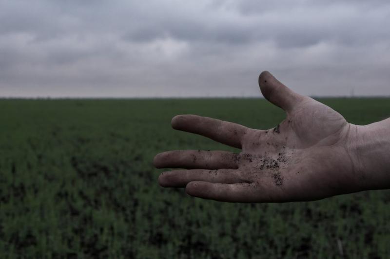 На Кіровоградщині більшість агрогосподарств не відповідають новим вимогам бронювання — департамент АПК