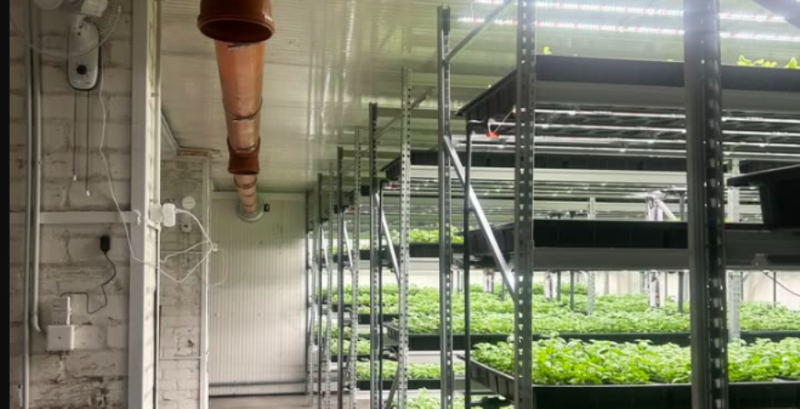 Вертикальна ферма