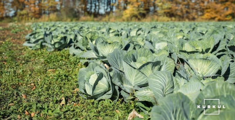 Господарство з Черкащини створило ОВК та отримало у власність меліоративні об'єкти