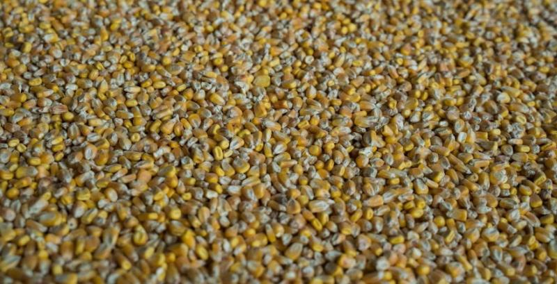 Кукурудза зберігає потенціал росту цін