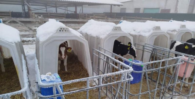 Фермерське господарство «Велес Віта»