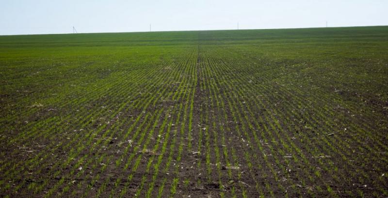 Чи можна узаконити право довічного володіння земельною ділянкою — пояснення юристів Чи можна узаконити право довічного володіння земельною ділянкою — пояснення юристів
