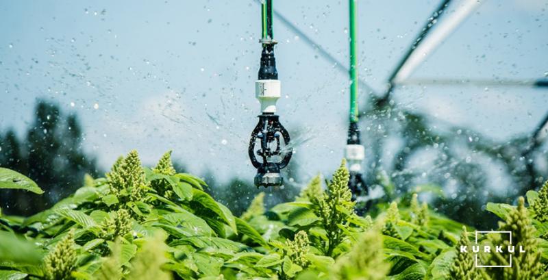 Forbes Agro: масштабування бізнесу в умовах ризикованої логістики та кліматичних викликів