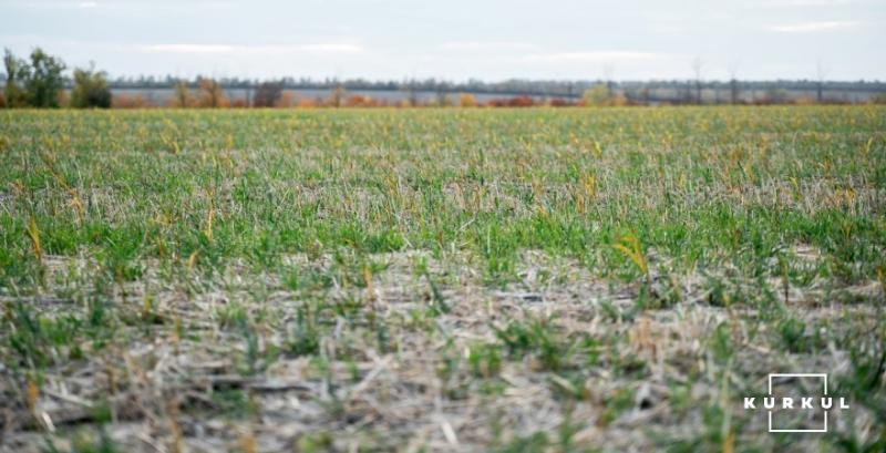 Фахівці напрацьовують зміни для врегулювання проблем викуп земель постійного користування Фахівці напрацьовують зміни для врегулювання проблем викуп земель постійного користування