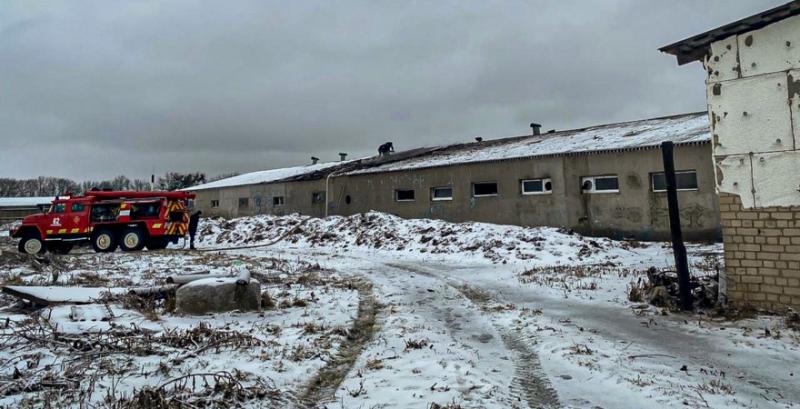 Внаслідок ворожої атаки на фермі загинуло поголів’я худоби Внаслідок ворожої атаки на фермі загинуло поголів’я худоби