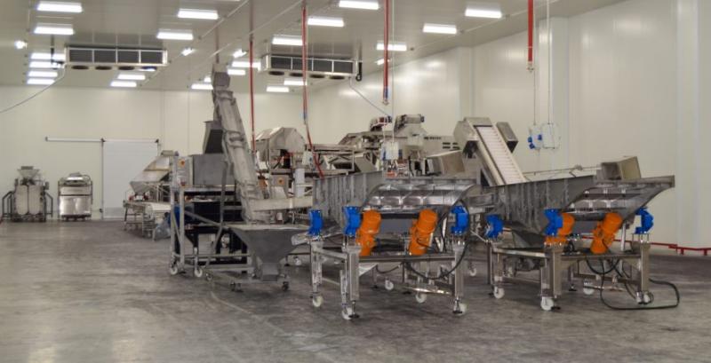 Господарство зі Львівщини запустило новий цех з переробки та заморозки ягід