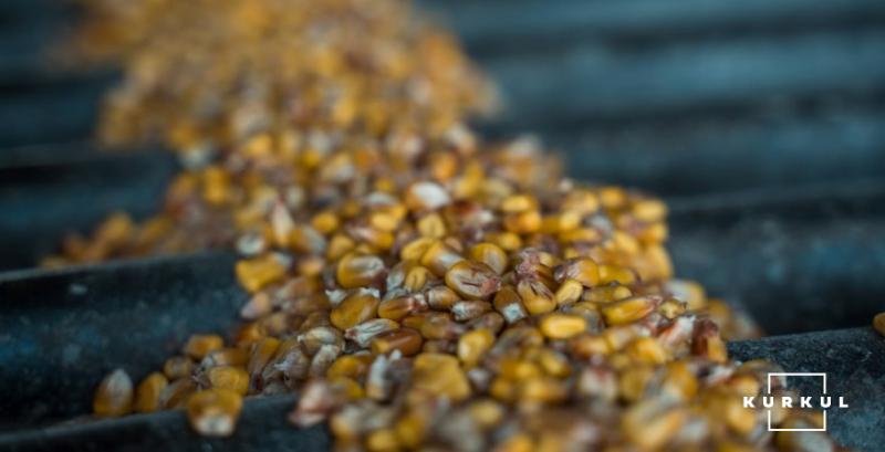 Ціни на фуражну кукурудзу ростуть на фоні активного попиту