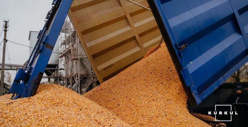 Фуражна кукурудза подорожчала до понад 10 тисяч грн/т