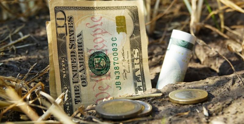 Вразливі категорії можуть отримати гранти на власну справу Вразливі категорії можуть отримати гранти на власну справу