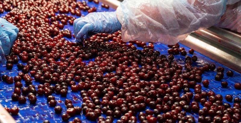 Переробні підприємства отримають ширший доступ до держпідтримки