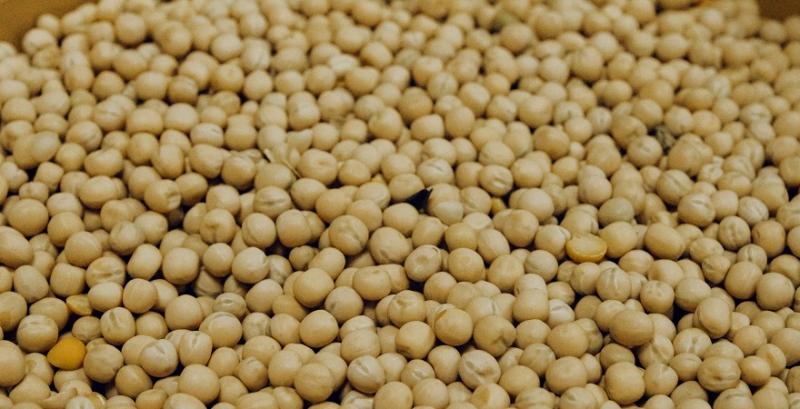 На внутрішньому ринку зберігається підвищення цін на соєві боби На внутрішньому ринку зберігається підвищення цін на соєві боби